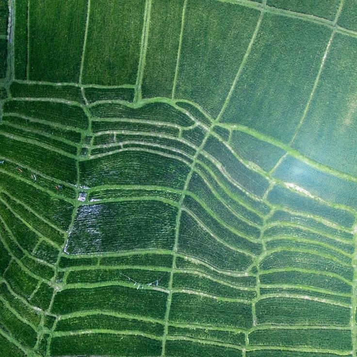 Entertainment zone at night in Italy